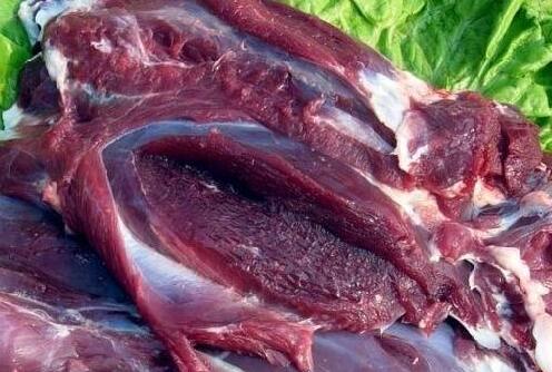 鹿肉的功效与作用及营养价值 鹿肉的功效与作用及营养价值