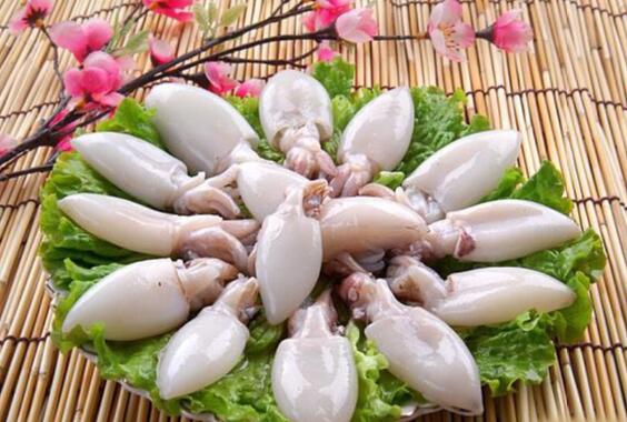 墨鱼的功效与作用及营养价值 墨鱼的功效与作用及营养价值
