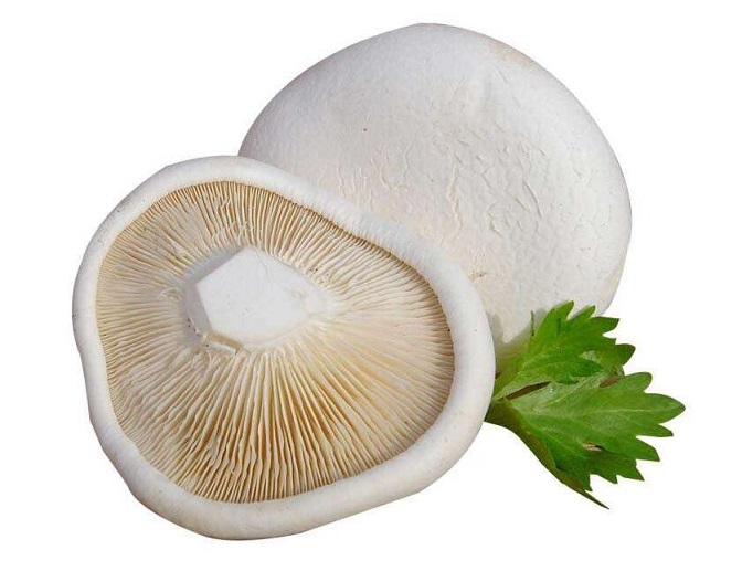 白灵菇的功效与作用及营养价值 白灵菇的功效与作用及营养价值