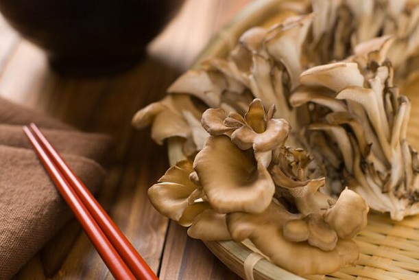 灰树花的功效与作用及营养价值 灰树花的功效与作用及营养价值
