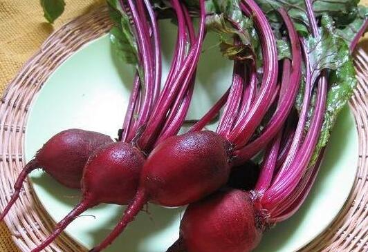 甜菜根的功效与作用及营养价值 甜菜根的功效与作用及营养价值