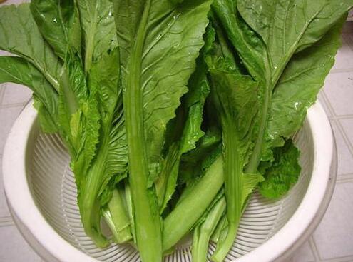 芥菜的功效与作用及营养价值 芥菜的功效与作用及营养价值