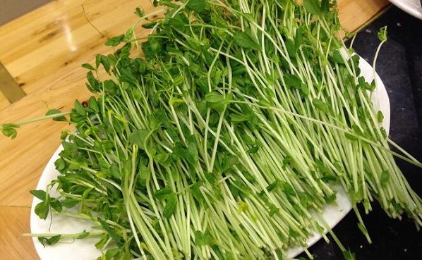 豆苗的功效与作用及营养价值 豆苗的功效与作用及营养价值