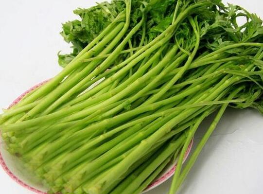 芦蒿的功效与作用及营养价值 芦蒿的功效与作用及营养价值
