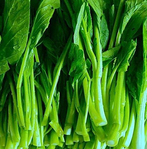 油菜的功效与作用及营养价值 油菜的功效与作用及营养价值