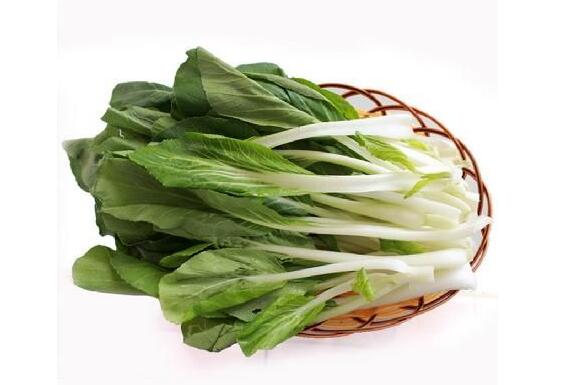 小白菜的功效与作用及营养价值 小白菜的功效与作用及营养价值