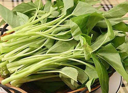 空心菜的功效与作用及营养价值 空心菜的功效与作用及营养价值