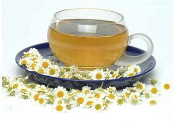 菊花茶的功效与作用及营养价值 菊花茶的功效与作用及营养价值