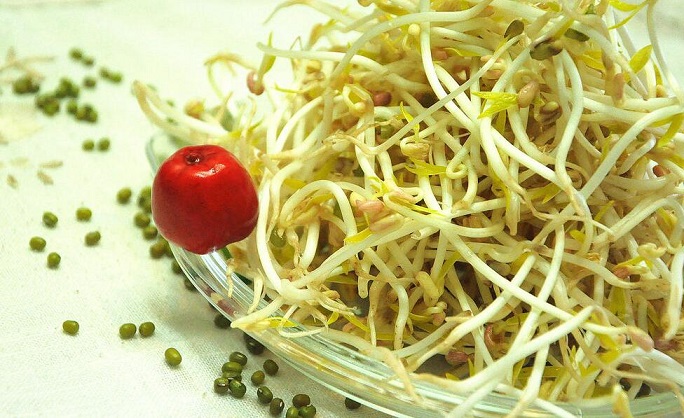 黄豆芽的功效与作用及营养价值 黄豆芽的功效与作用及营养价值