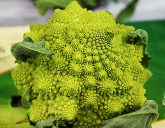 宝塔菜花的功效与作用及营养价值 宝塔菜花的功效与作用及营养价值
