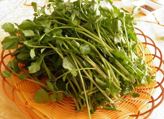 豆瓣菜的功效与作用及营养价值 豆瓣菜的功效与作用及营养价值